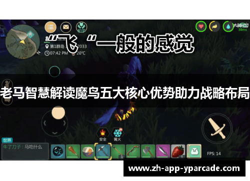 老马智慧解读魔鸟五大核心优势助力战略布局