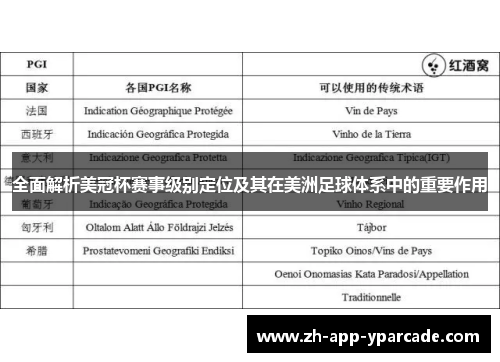 全面解析美冠杯赛事级别定位及其在美洲足球体系中的重要作用